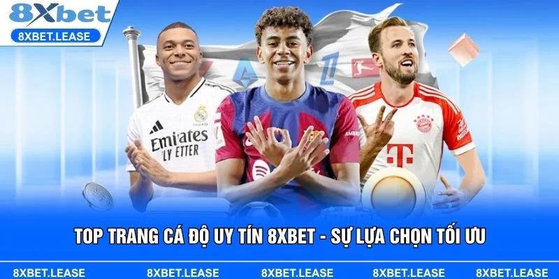 Khám phá TOP trang cá độ uy tín 8XBET